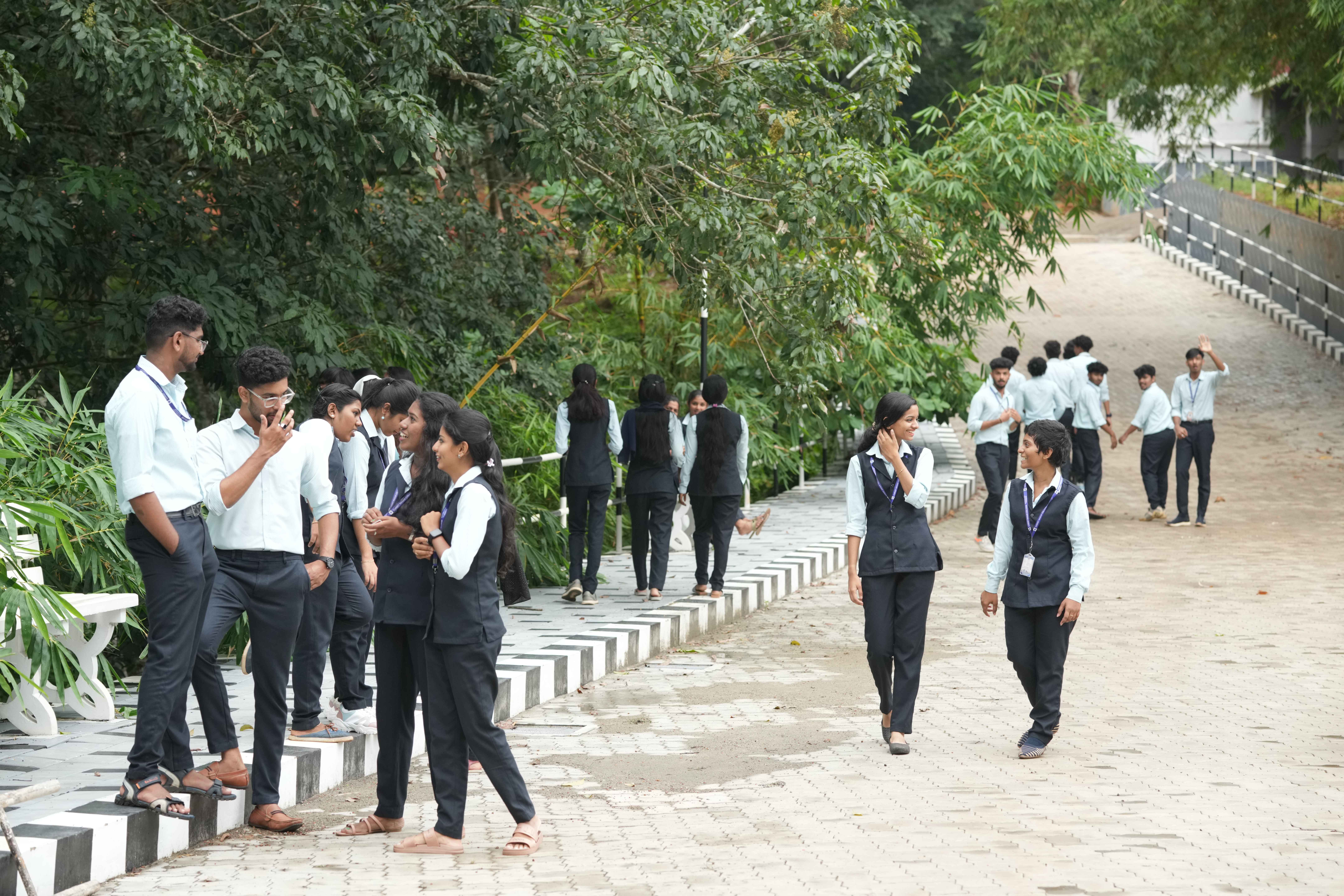 Green Pedestrian Friendly Pathway